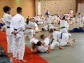 Priprave mladih judoistov v Ljutomeru