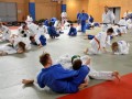 Priprave mladih judoistov v Ljutomeru