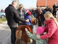 Štefanovo v Križevcih pri Ljutomeru