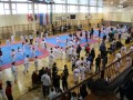 Karate turnir Pokal mesta Ljutomer 2017