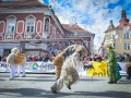 Cerkljanske laufarje sestavlja pestra druščina različnih likov