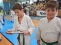 Prleški judoisti na DP