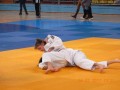 Prleški judoisti na DP