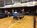 Novek - Kocuvan