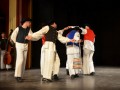 Festival odraslih folklornih skupin