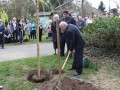 Ob sadiki vrbe Ernest Ebenšpanger