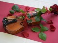 Violina sredi mize na nekaj opominja