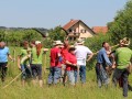 31. tekmovanje koscev v Vogričevcih