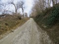 Cesta v naselju Globoka