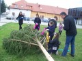 Postavljanje prvomajskega drevesa v Beltincih