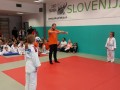 Prleška judo liga za najmlajše