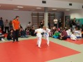 Prleška judo liga za najmlajše