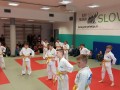 Prleška judo liga za najmlajše