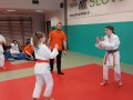 Prleška judo liga za najmlajše