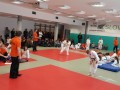 Prleška judo liga za najmlajše