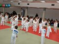 Prleška judo liga za najmlajše