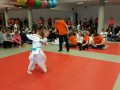 Prleška judo liga za najmlajše