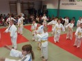 Prleška judo liga za najmlajše