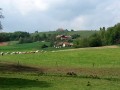 Prvomajski pohod na Jeruzalem in Svetinje