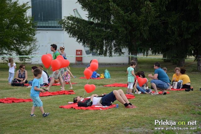 Dan odprtih vrat Radenske 2017