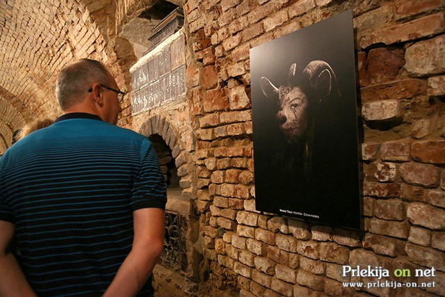 Fotografska razstava Hommage au Surrealisme