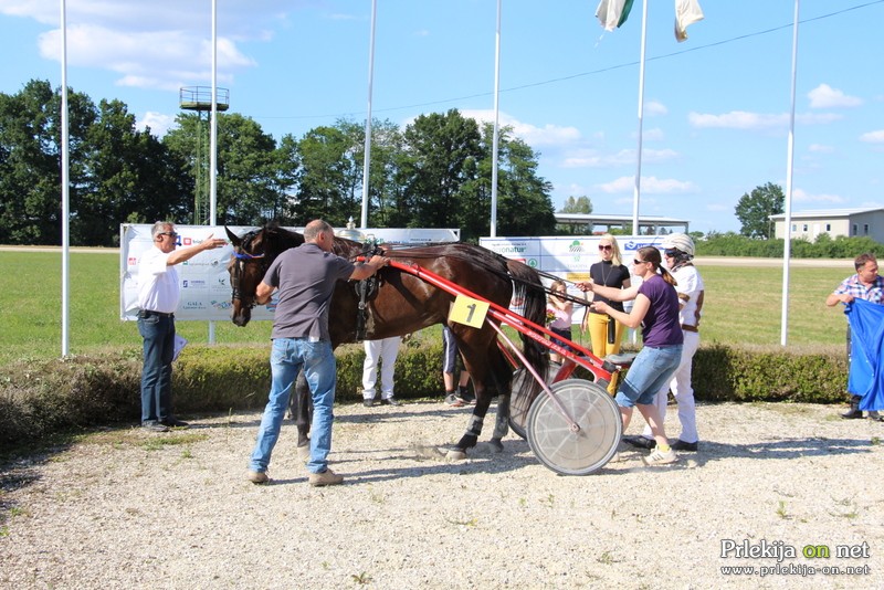 Memorial Janka Makoterja