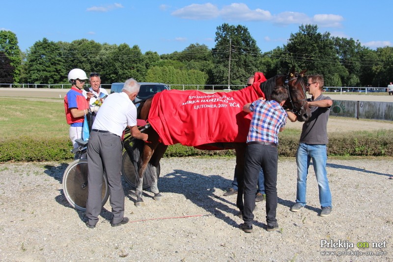 Memorial Mirka Hanžekoviča