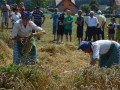 35. praznik žetve v Spodnji Ščavnici