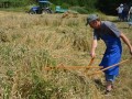 35. praznik žetve v Spodnji Ščavnici