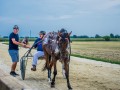 IX. kasaške dirke KD Križevci