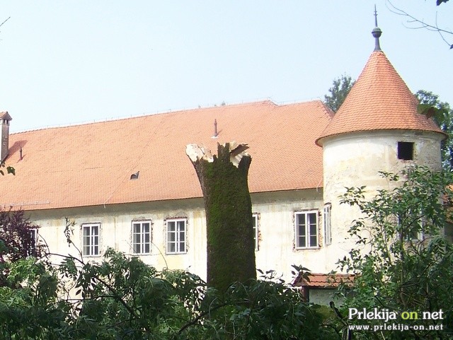 Opustošenje v beltinskem parku