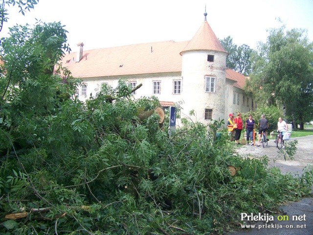 Opustošenje v beltinskem parku