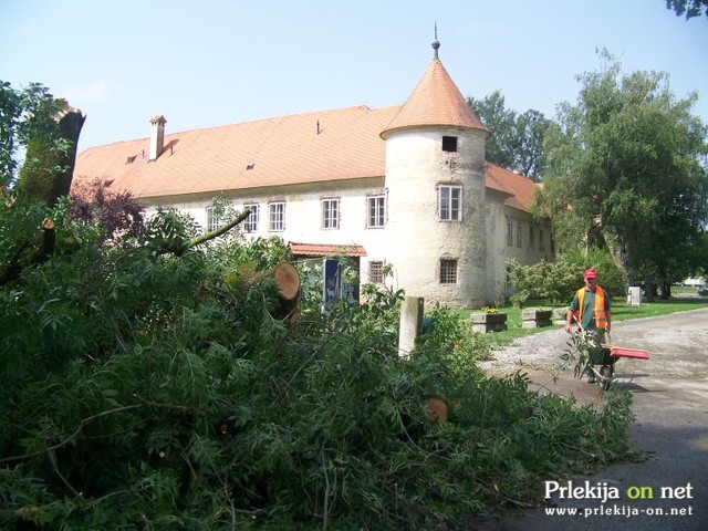 Opustošenje v beltinskem parku