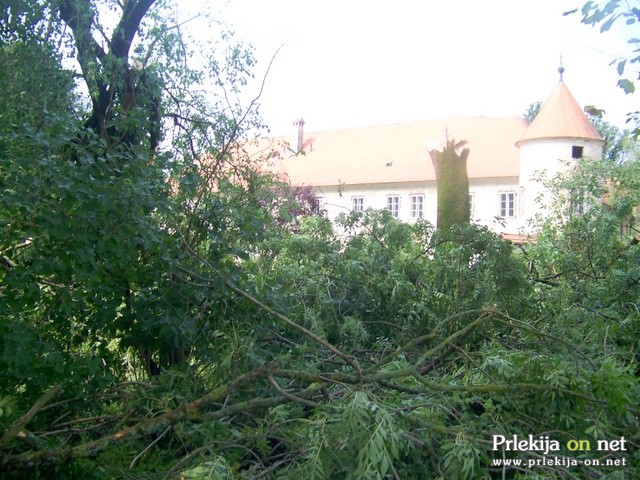 Opustošenje v beltinskem parku