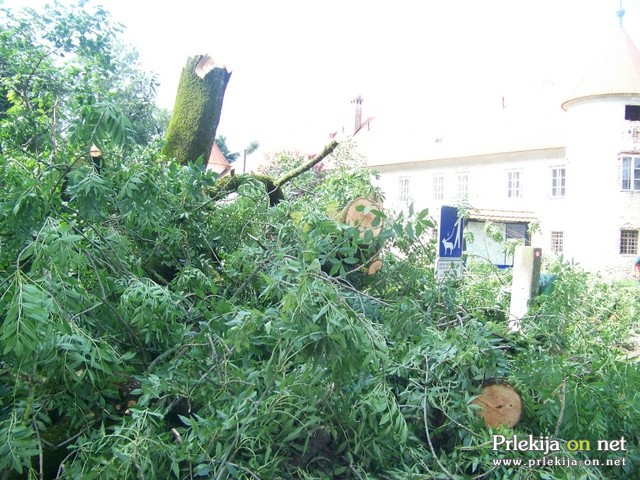 Opustošenje v beltinskem parku