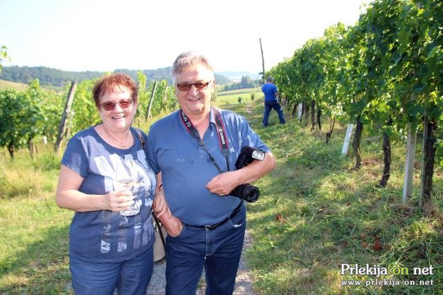 Postavljanje klopotca v Steyerjevem vinogradu