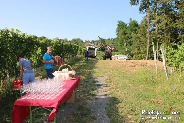 Postavljanje klopotca v Steyerjevem vinogradu