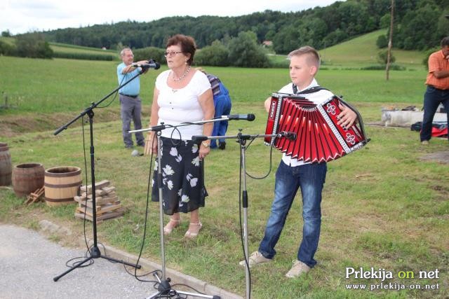 Srečanje ljudskih pevcev in godcev