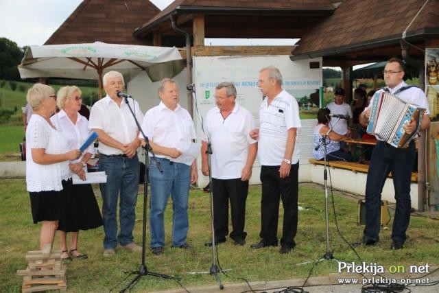 Srečanje ljudskih pevcev in godcev