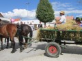 54. praznik žetve na Polenšaku