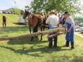 54. praznik žetve na Polenšaku