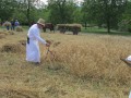 54. praznik žetve na Polenšaku