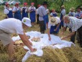 54. praznik žetve na Polenšaku