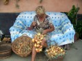 Pletenje čebule v vence