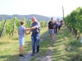 Postavljanje klopotca v Steyerjevem vinogradu