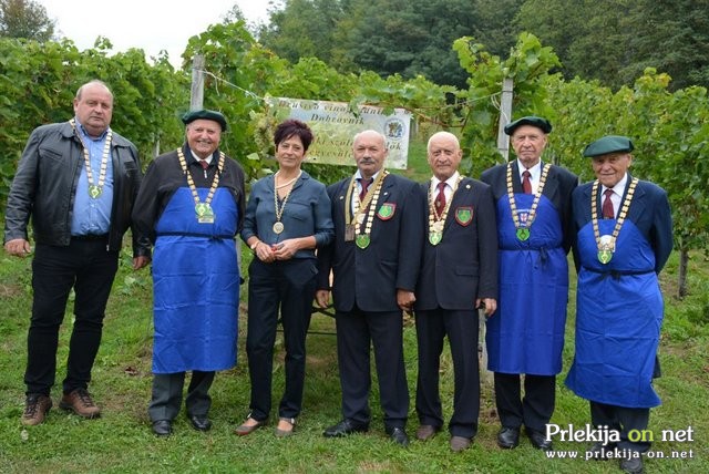 10. mednarodna otroška trgatev