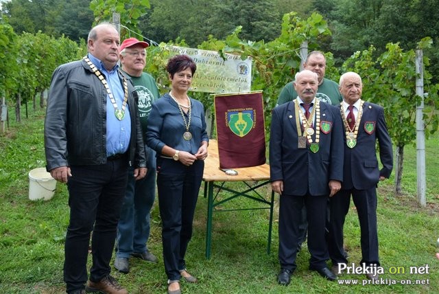 10. mednarodna otroška trgatev