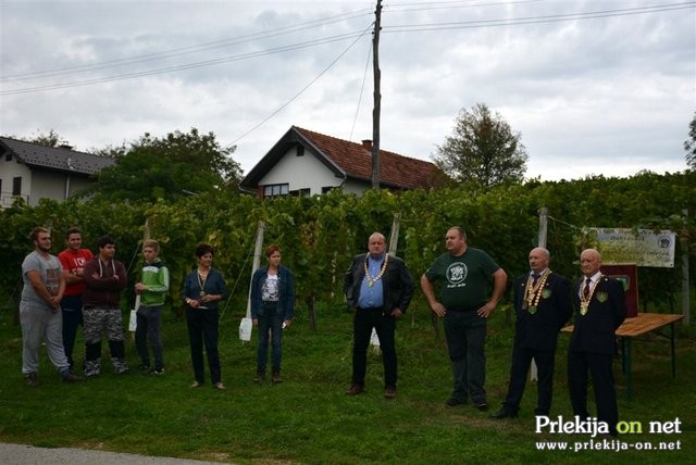 10. mednarodna otroška trgatev