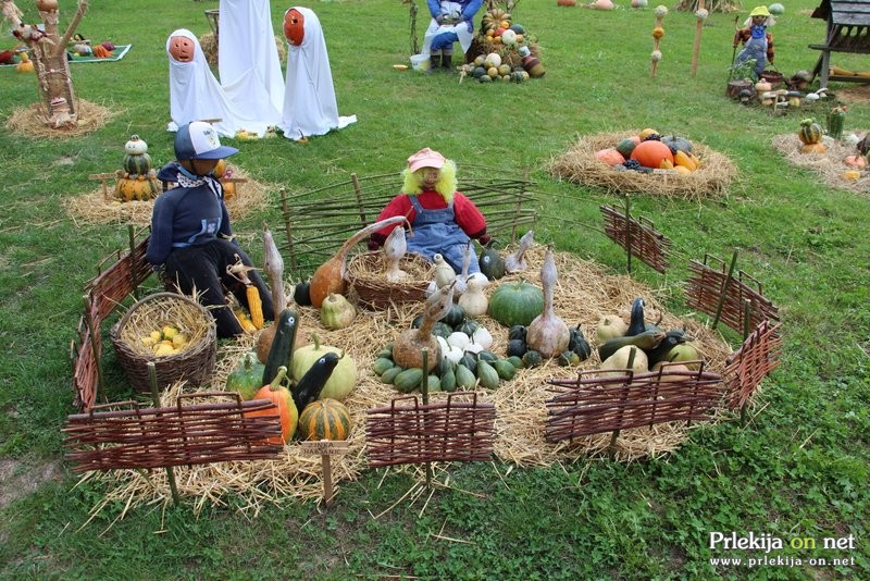 Bučarija 2017