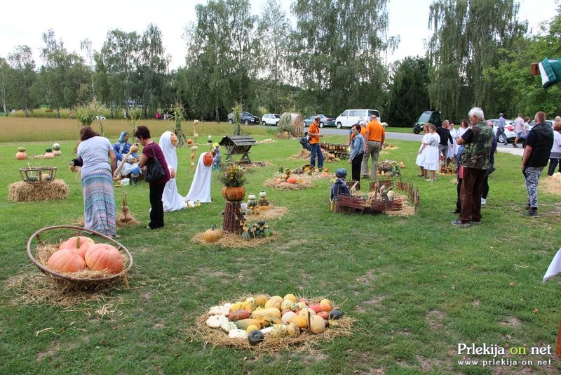 Bučarija 2017